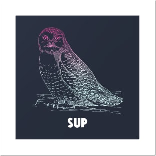 Sup Owl Posters and Art